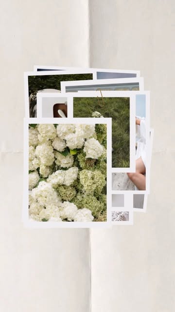 A stack of printed photographs topped with white hydrangeas